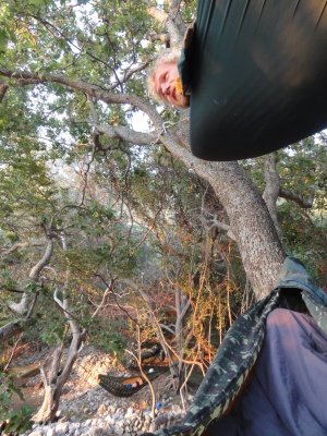 Hamac sur plusieurs étages dans un arbre