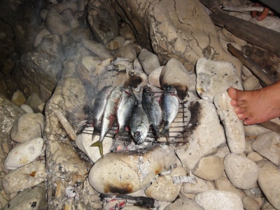 Grillade de poissons pêchés à la traîne