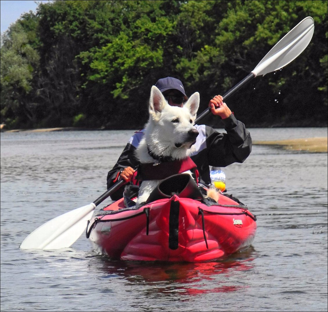 Cover of L Allier et la Loire en kayak gonflable avec un chien