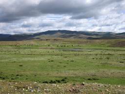 “MONGOLIE-Steppes"