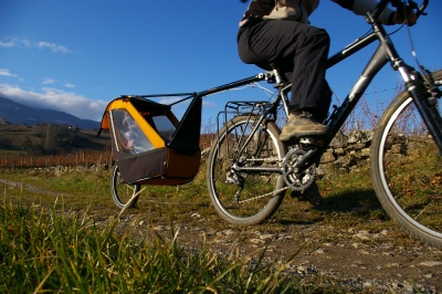 Remorque vélo enfant mono-roue Tout-terrain Single Trailer