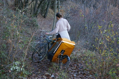 Remorque vélo enfant mono-roue Tout-terrain Single Trailer