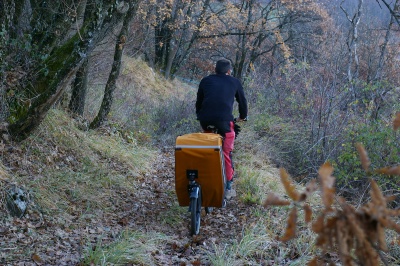 Remorque vélo enfant mono-roue Tout-terrain Single Trailer