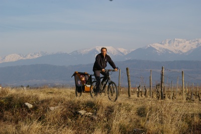 Remorque vélo enfant mono-roue Tout-terrain Single Trailer