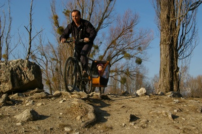 Remorque vélo enfant mono-roue Tout-terrain Single Trailer