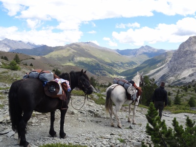 Sur les hauteurs de Montgenèvre