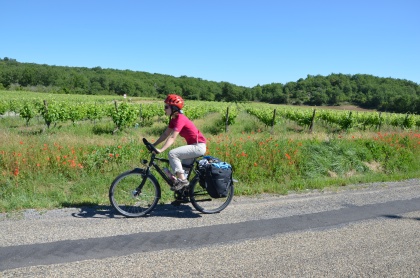 Coralie dans le Minervois