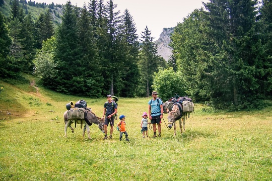 recit-vercors-en-famille-a-dos-d-ane