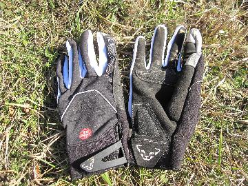 Gants Dynafit Radical gloves