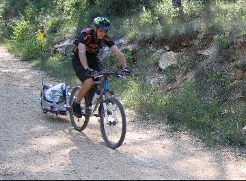 Remorque à vélo Monoporter de Weber