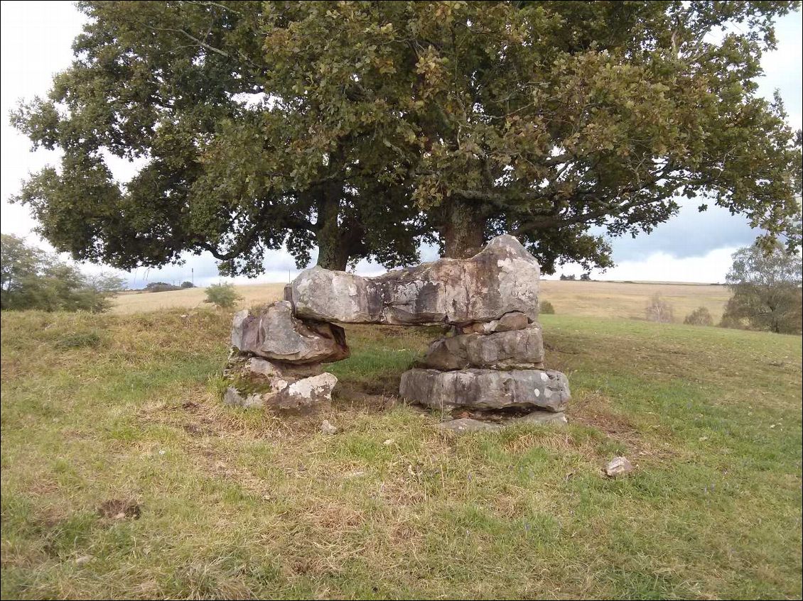 Dolmen Escout (64)