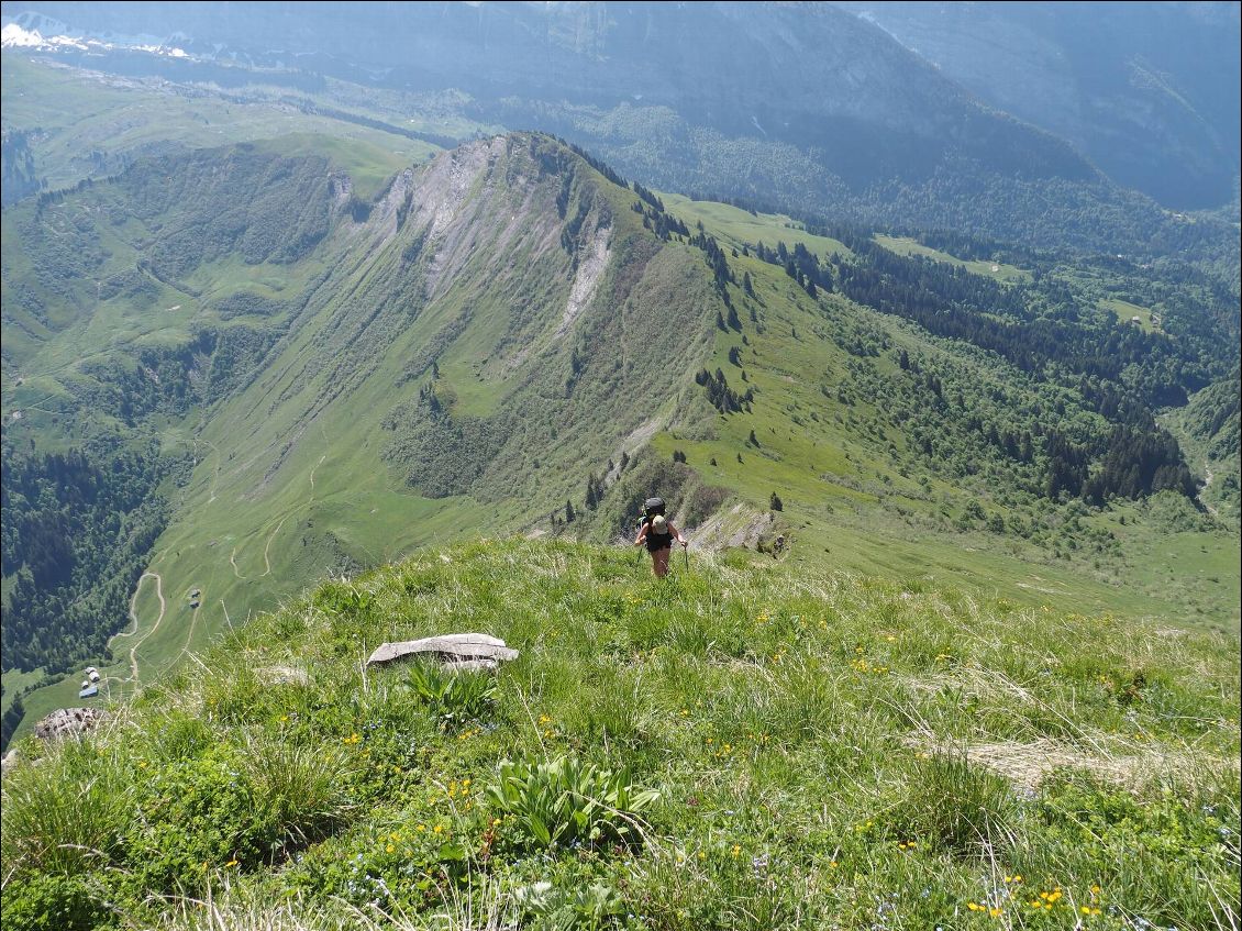 La crête vu d'en haut qui arrive à la pointe d'Angolon, derniers efforts pour Lulu.