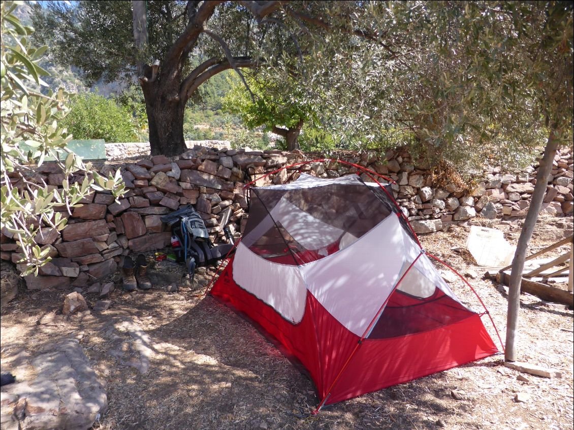 bivouac sous un olivier