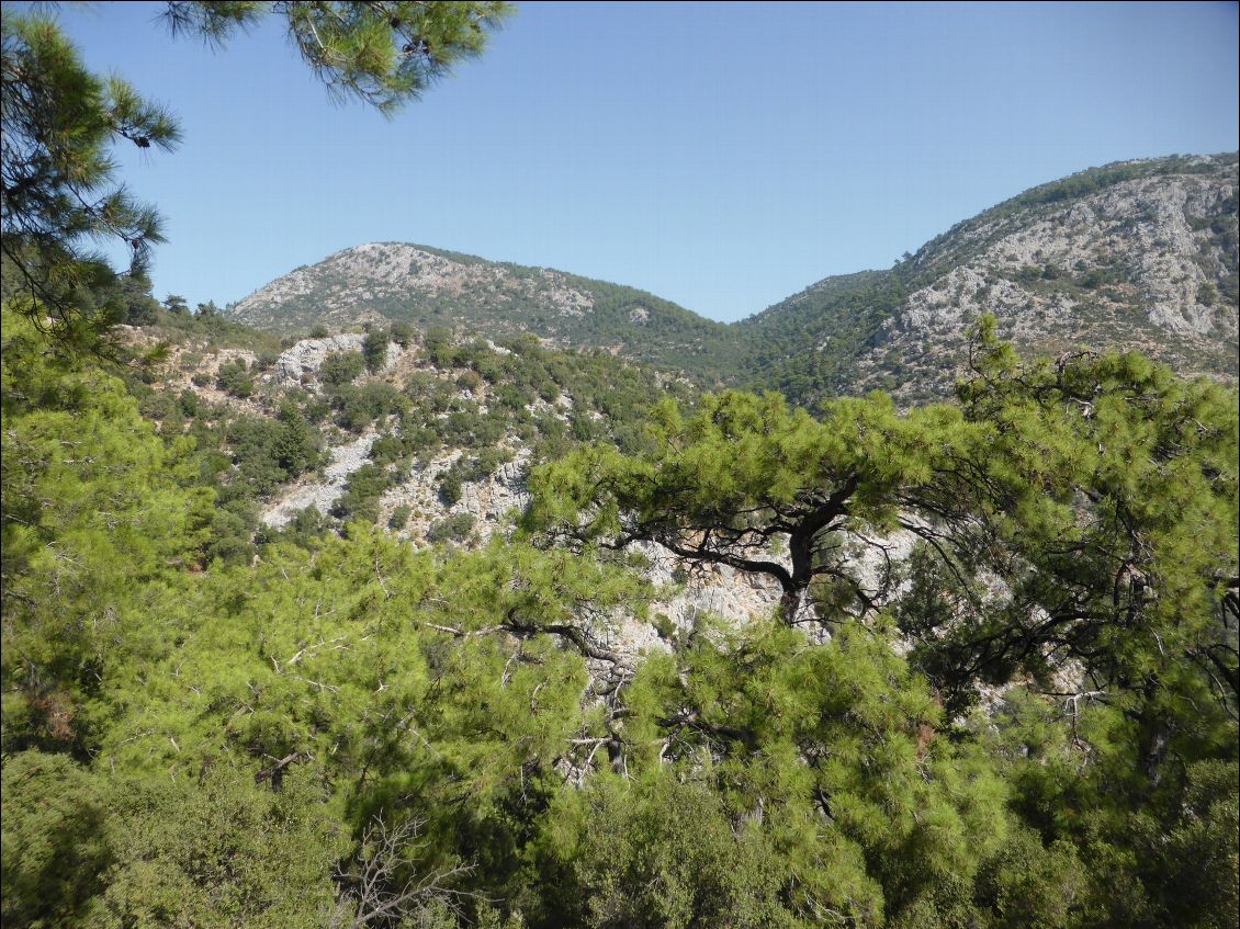 Paysage méditerranéen