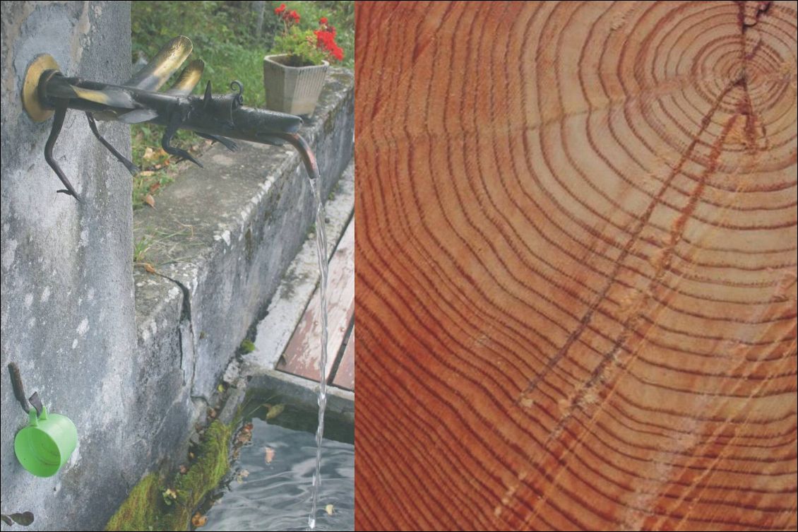 Une vouivre veille sur un trésor souterrain, l’eau de la fontaine de Monestier d’Ambel.