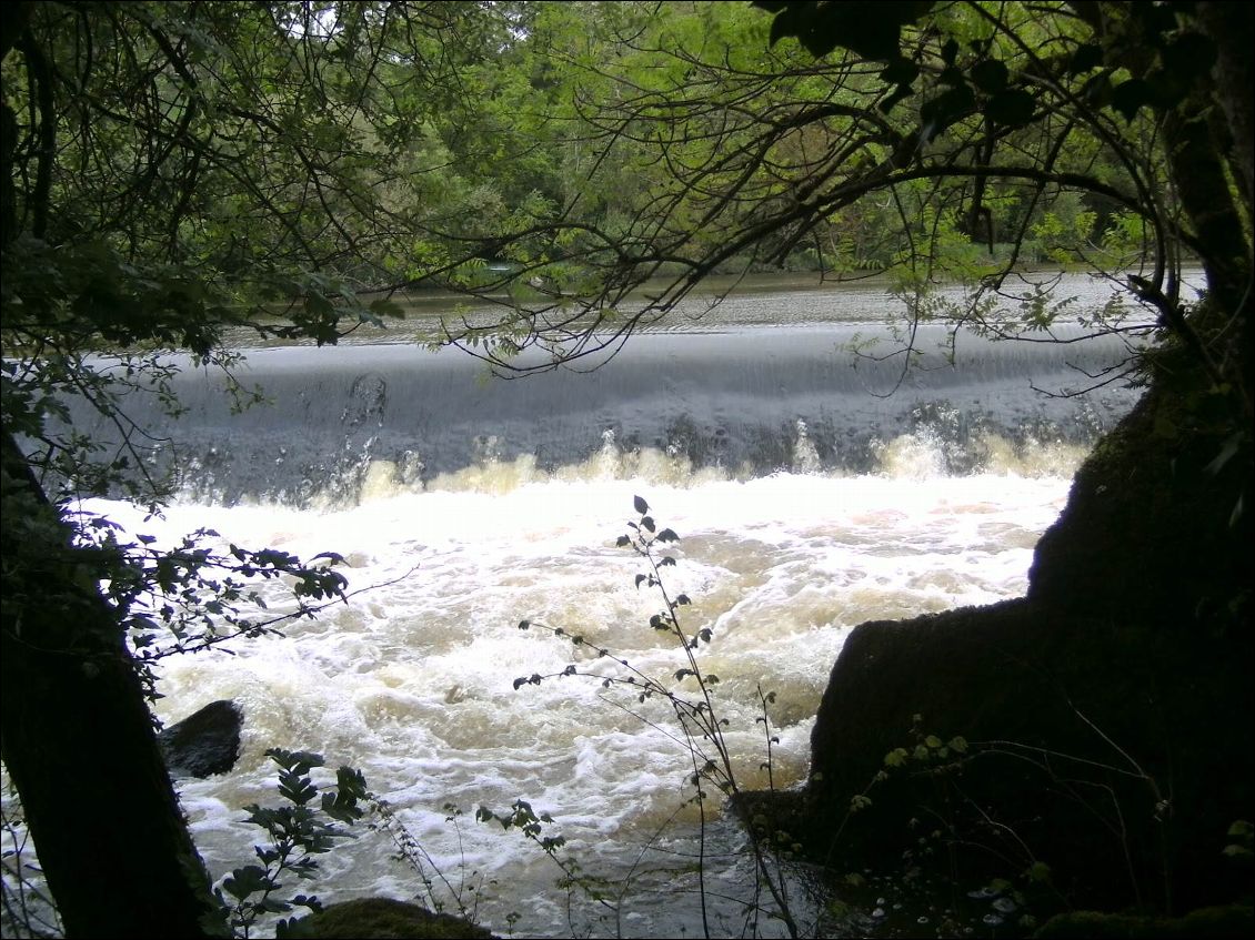 Mon départ prêt de Tiffauges avec un beau niveau d'eau