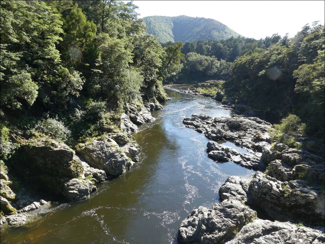 J5 Pelorus Bridge Nelson