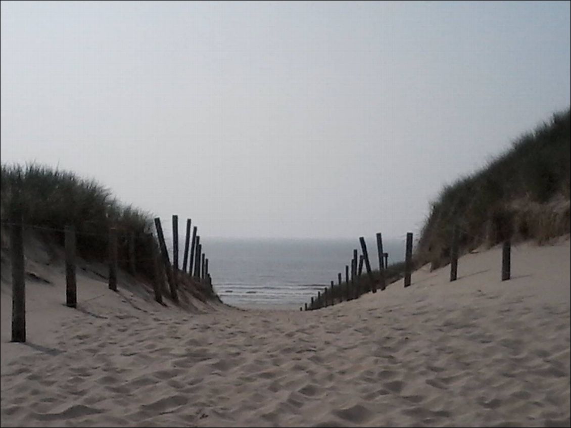 Non, ce ne sont pas les dunes de St Marguerite à l Aber Wrach. Mais la température de l'eau doit être similaire.
La mer du Nord