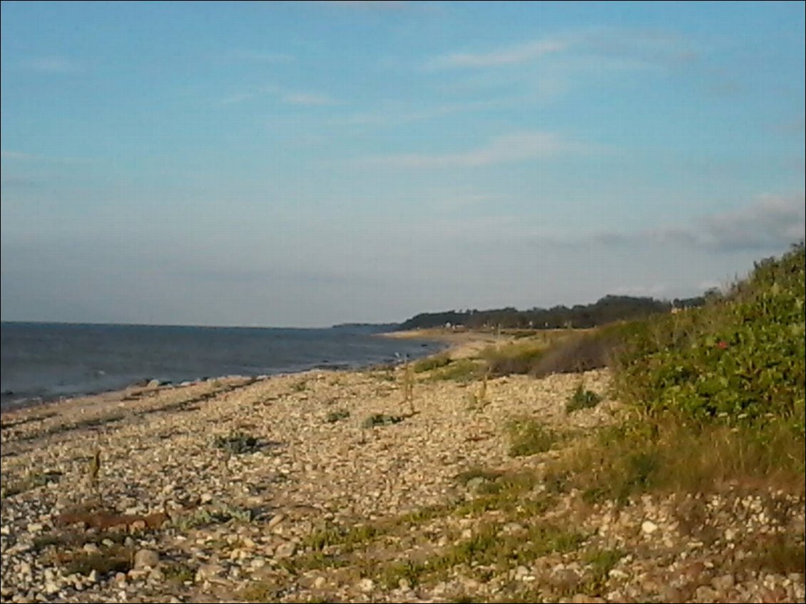 Mer du Nord ou Baltique ? Je ne sais plus.