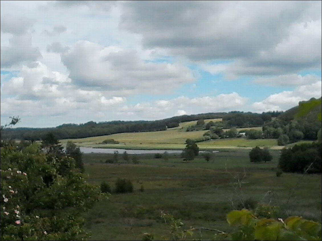 Dans le parc de Rold Skov