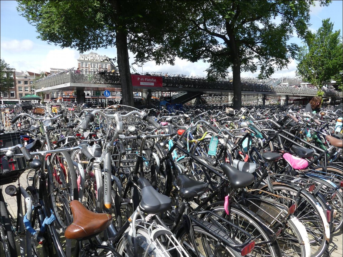 et soudain, un océan de vélos s'offre à votre regard!