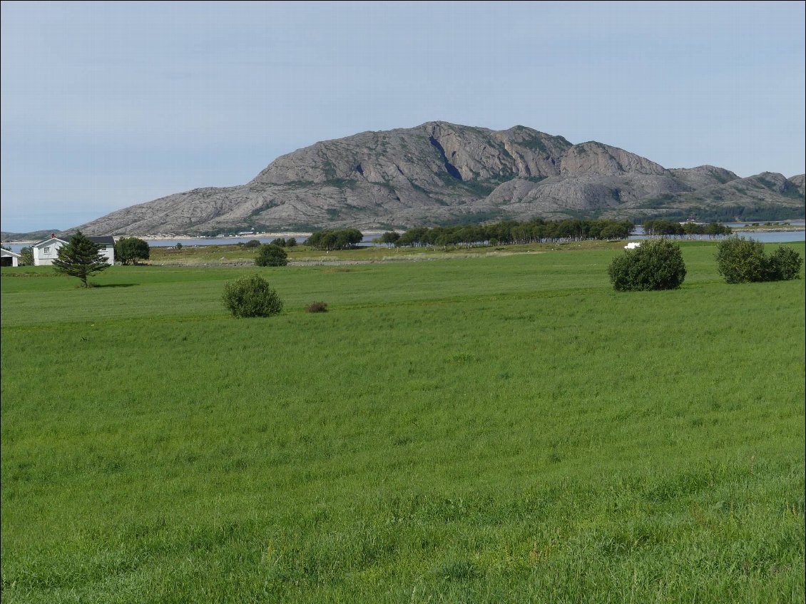 l'île de Vega