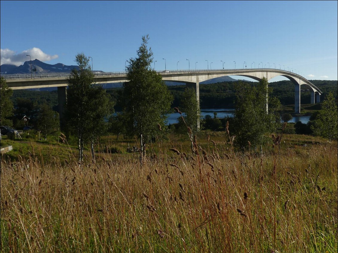 ils savent faire des routes, mais ils savent aussi faire des ponts!