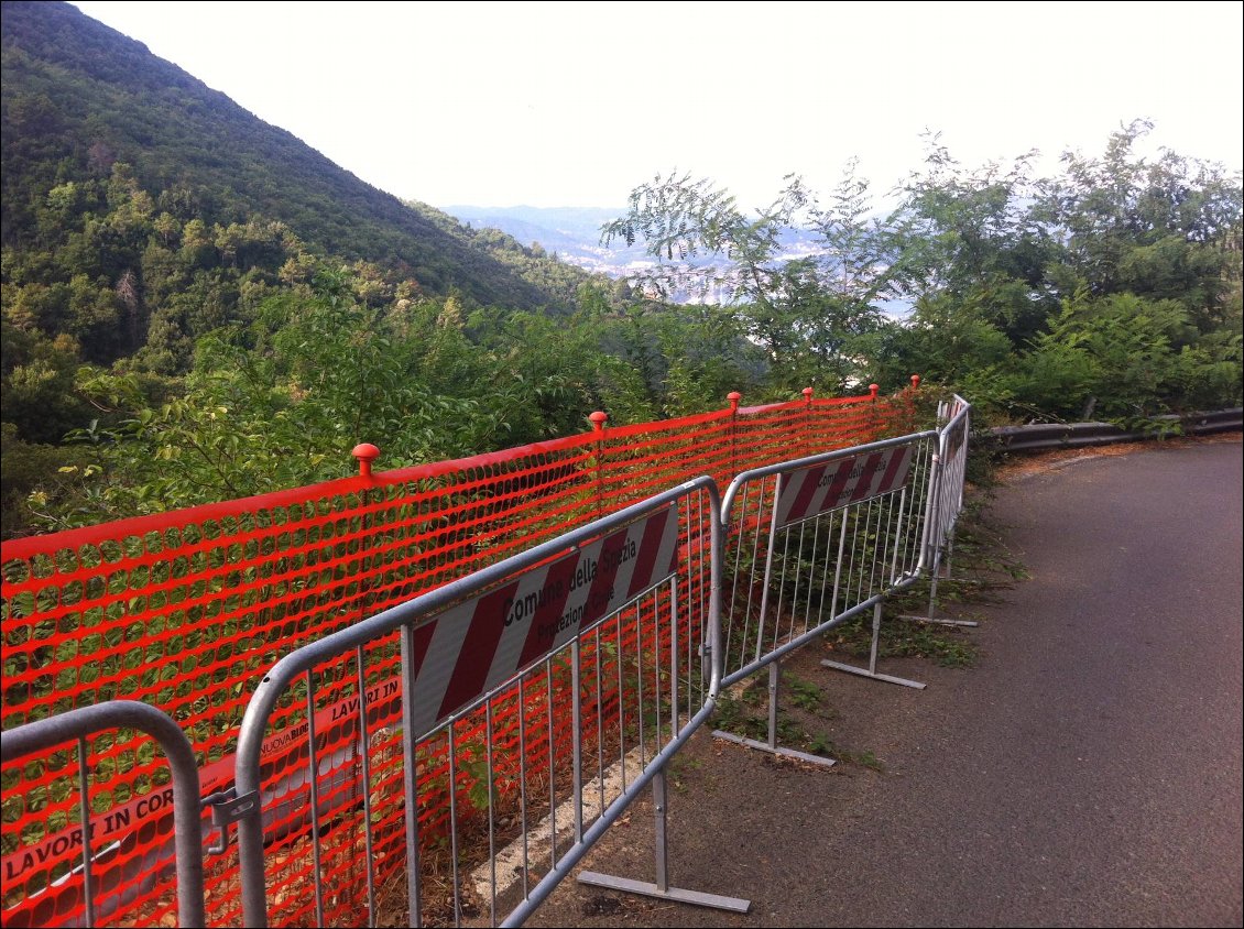 Cueillette des mures interdite temporairement...