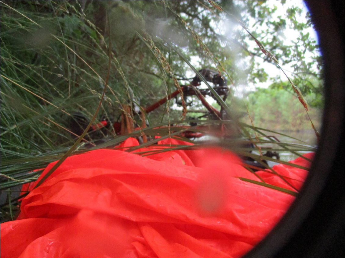 A l' abri des hautes herbes et d' un chêne touffu, sous mon poncho rouge,... je m' endors...