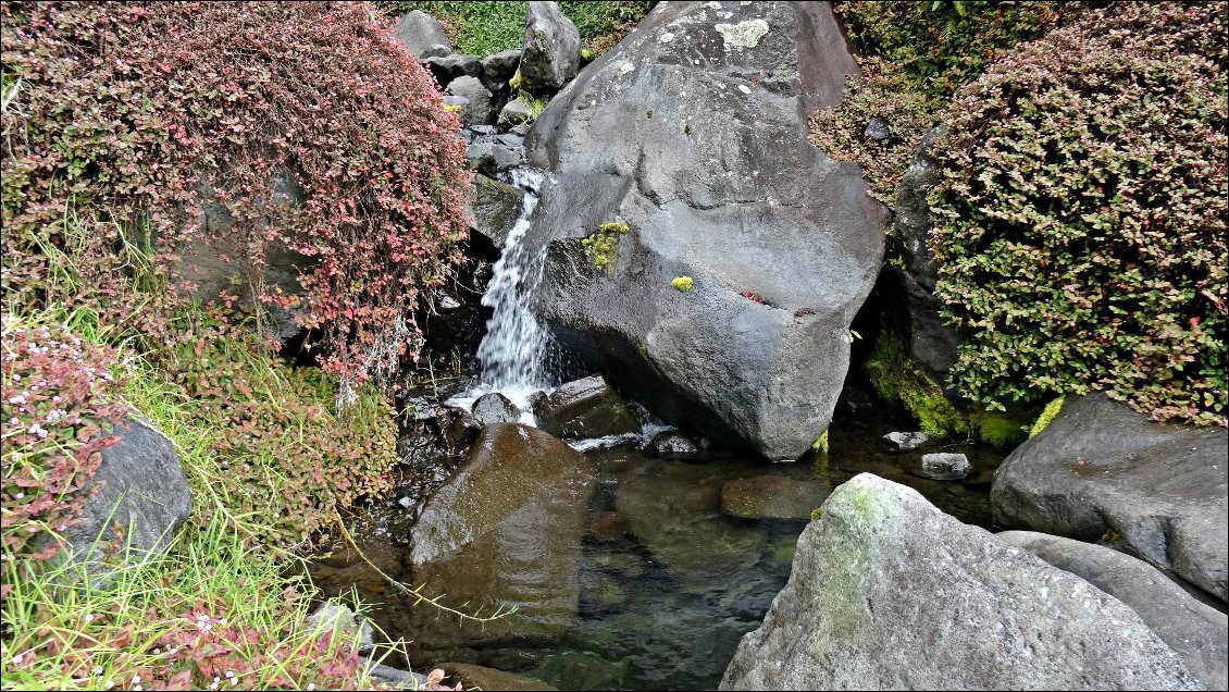 Jacuzzi version frigidarium :)