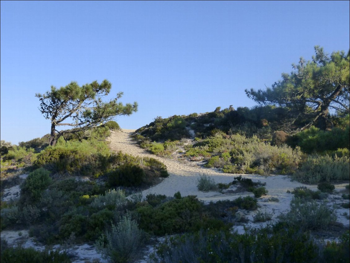 Pistes qui permettent d'éviter Sines