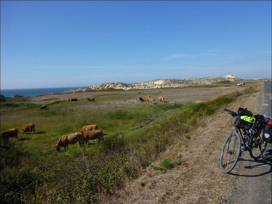 Le Portugal agricole avant Vila Nova de Milfontes