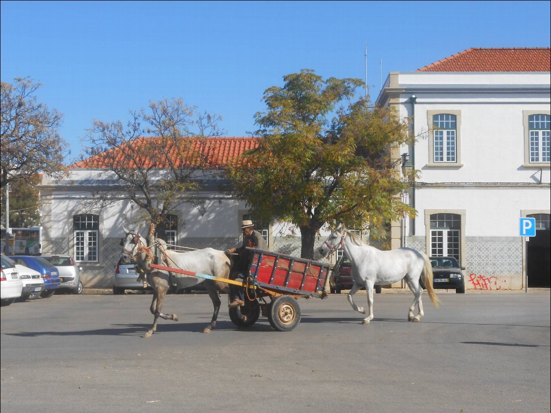 Devant la gare de Portimao