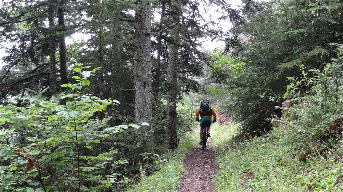 La suite est ludique aussi, dans la forêt.