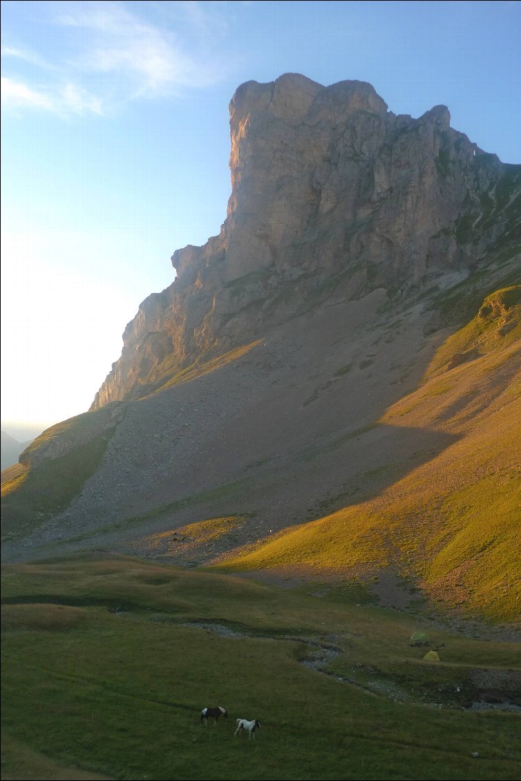 Le bivouac au matin, les chevaux du berger ont été nos voisins pour la nuit.