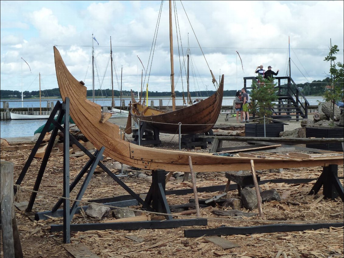 La cité des Vikings: Roskilde