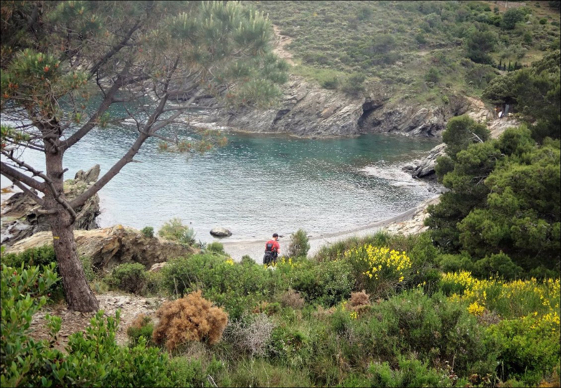 De Collioure à la plage des Paulilles