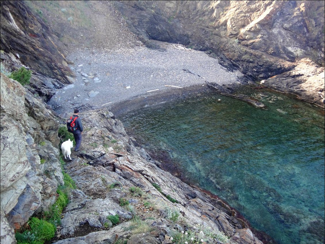 De la plage des Paulilles jusqu'à Cerbère