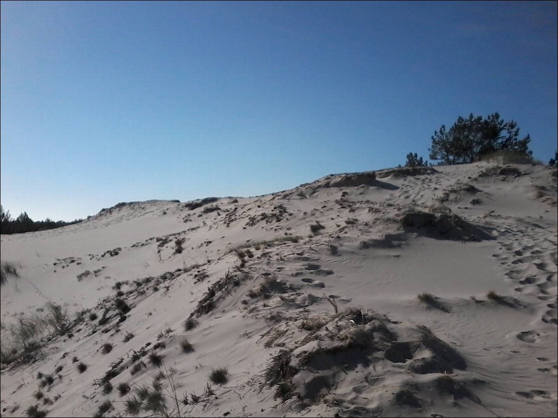 J'ai bivouaqué en contrebas de ces dunes. Superbe ! Mis à part les centaines de moucherons minuscules qui t'accompagnent partout jusque dans ta tente. Mais là, ils se tiennent tranquille, car ils ont compris qui était le chef.