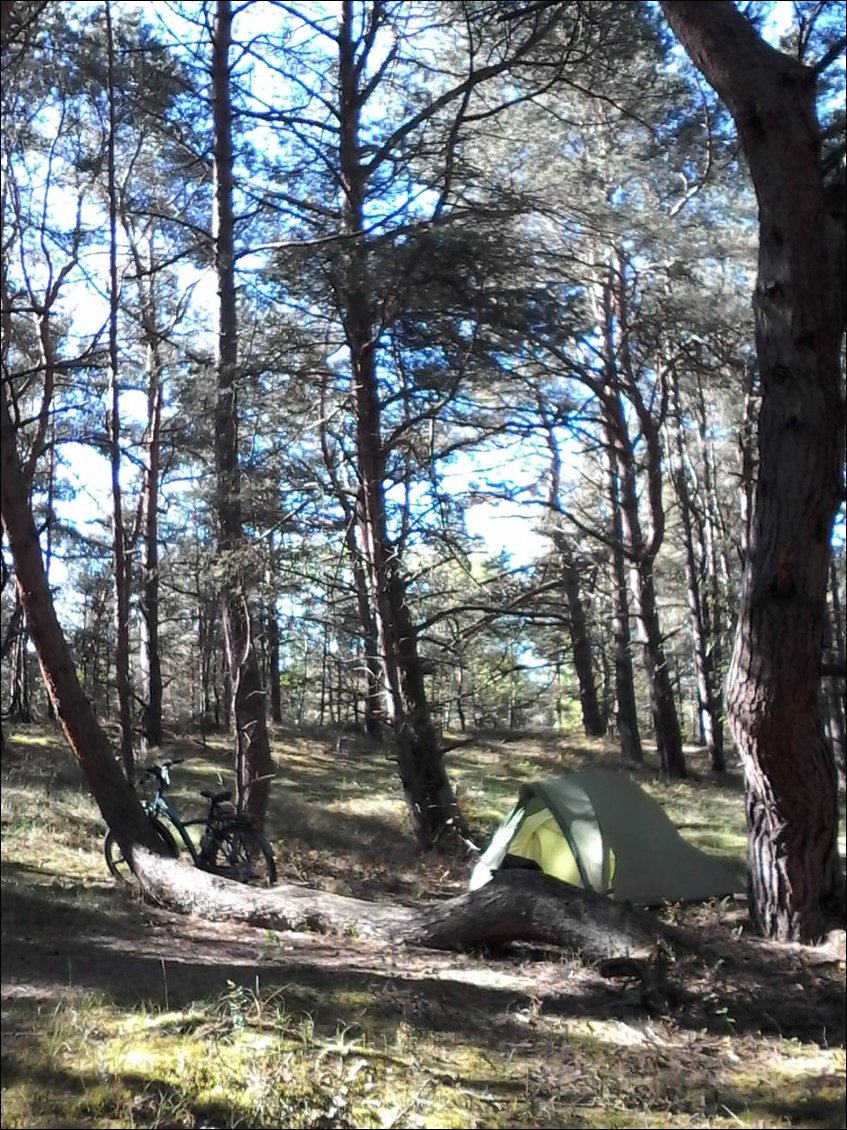 Comme beaucoup de soirs, un bivouac tranquille dans les bois. La plage est juste derrière.
Mais non, pas comme tous les soirs car pas très loin il y a un rassemblement de motards. Ils font the road to Hel ou Hell peut être. Musique à fond, pétarade moteur à fond. Yes it's the Hell !