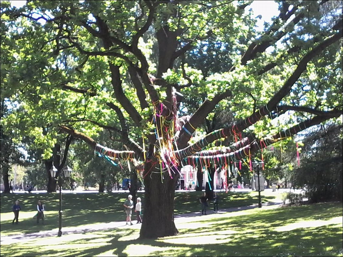 Le jour de mon arrivée, les drapeaux des maisons étaient en berne, certains arbres portaient des rubans. C'était la commémoration du jour de la terreur. Le 14 juin 1941, plus de 15 000 lettons (hommes, femmes et enfants) ont été déportés par le régime soviétique, vers les goulags de Sibérie. En tout 43 000 baltes ont vécu cet enfer. Peu en sont revenus.