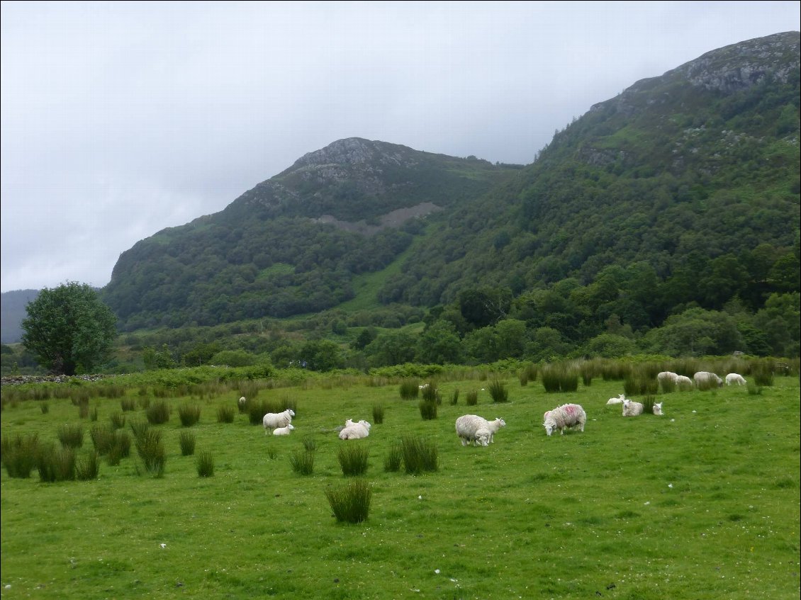 Petite route vers Plokton et Stromeferry