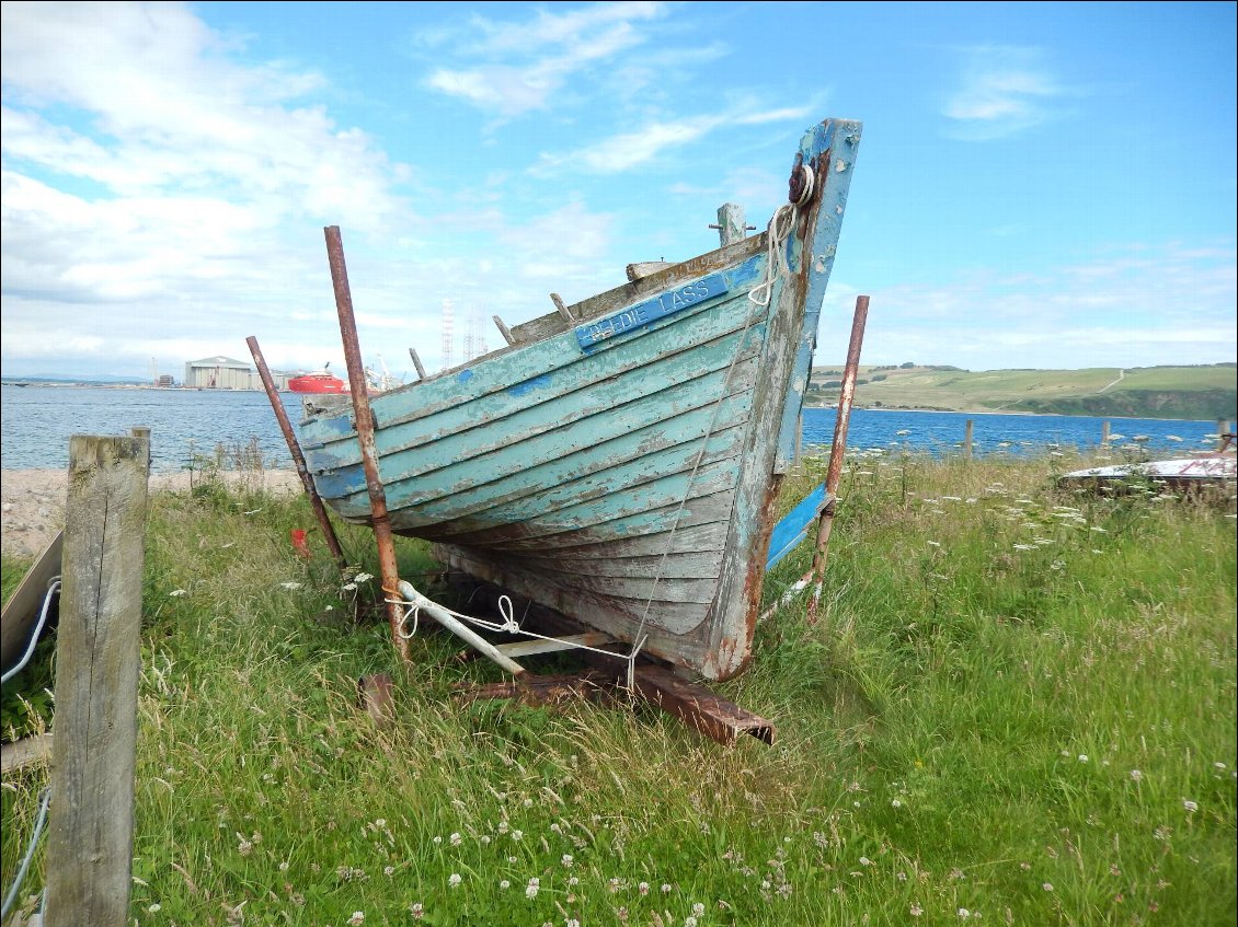 Camping en bord d'océan à Fortrose