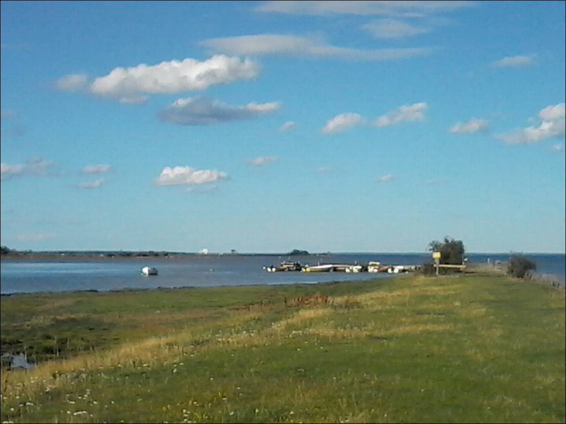Sur ce ponton, j'ai croisé une famille suédoise qui se baignait. Ils avaient un thermomètre. Début août, l'eau de la Baltique est à 20°C.