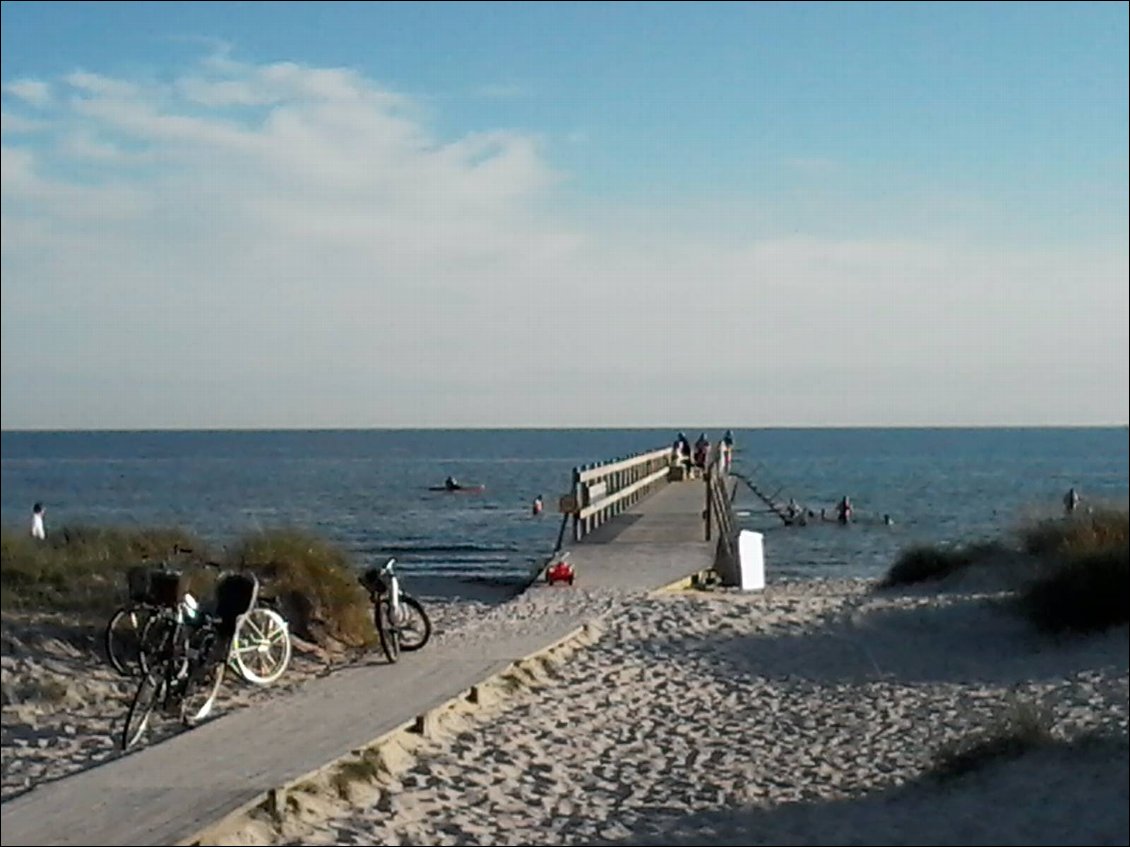 Baignade du soir vers Hollviken.