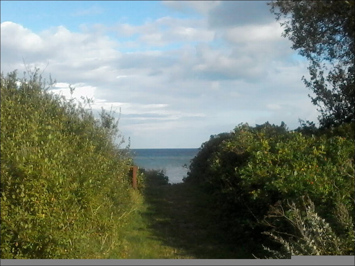 ... avec vue sur la mer au bout du chemin. Chemin par lequel est arrivé un faisan, puis sa faisanne 5 minutes après. Elle le cherchait.