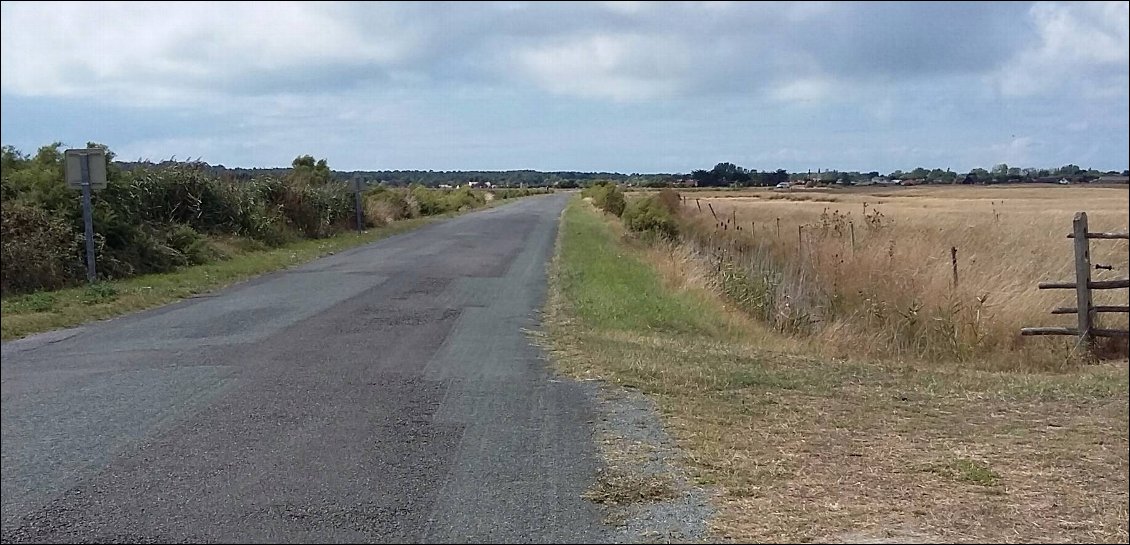 La pampa jolie et sauvage de Noirmoutier.