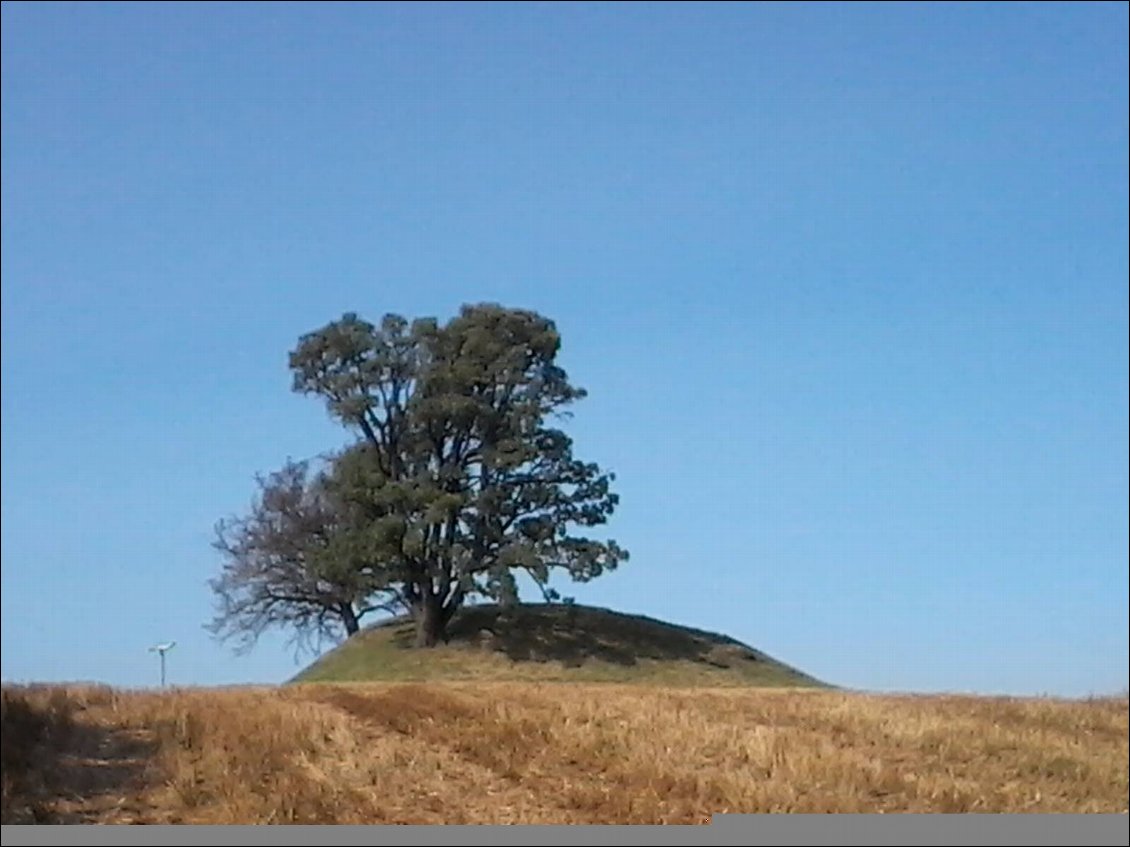 Avec parfois un tumulus au milieu des champs.