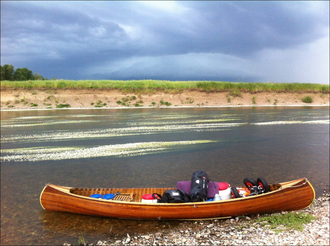 Le ciel s'assombrit, je m'arrête sur l'île, en face de quelques algues qui fleurissent la Loire.