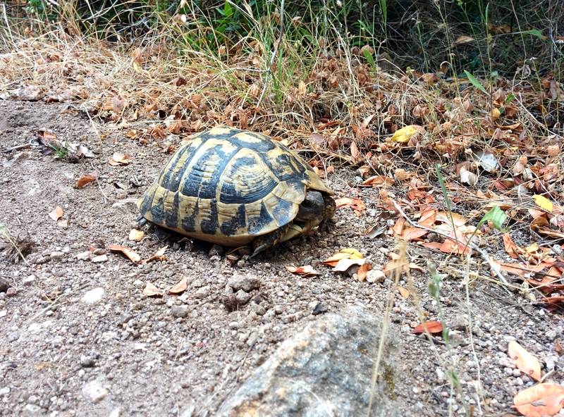 Une belle et surprenante rencontre....